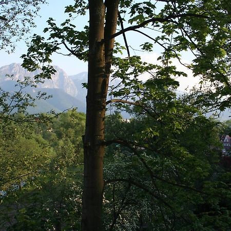 Apartament Cicha Woda Zakopane Kamer foto